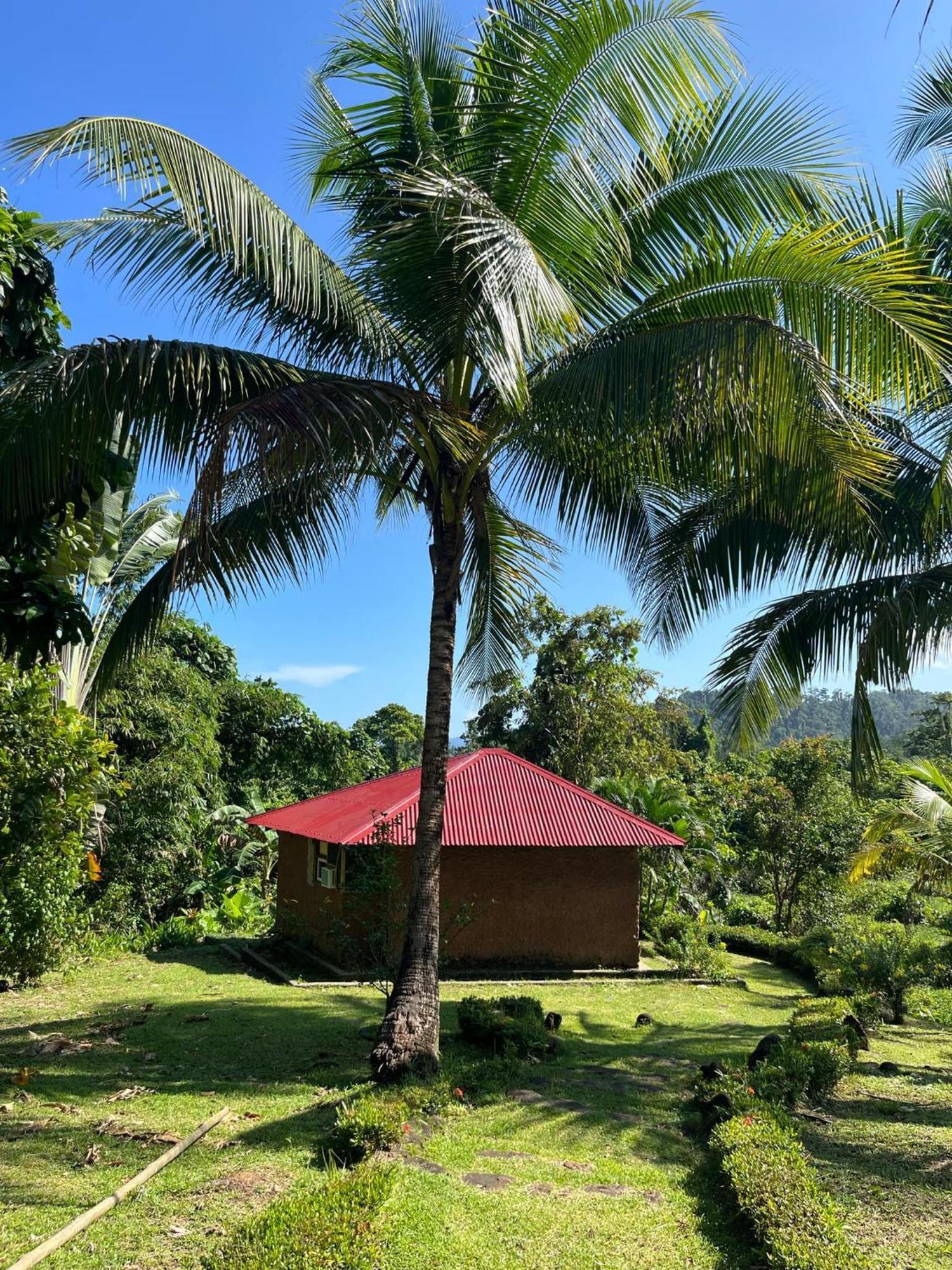 Bambua Nature Cottages Sabang (Palawan) Quarto foto